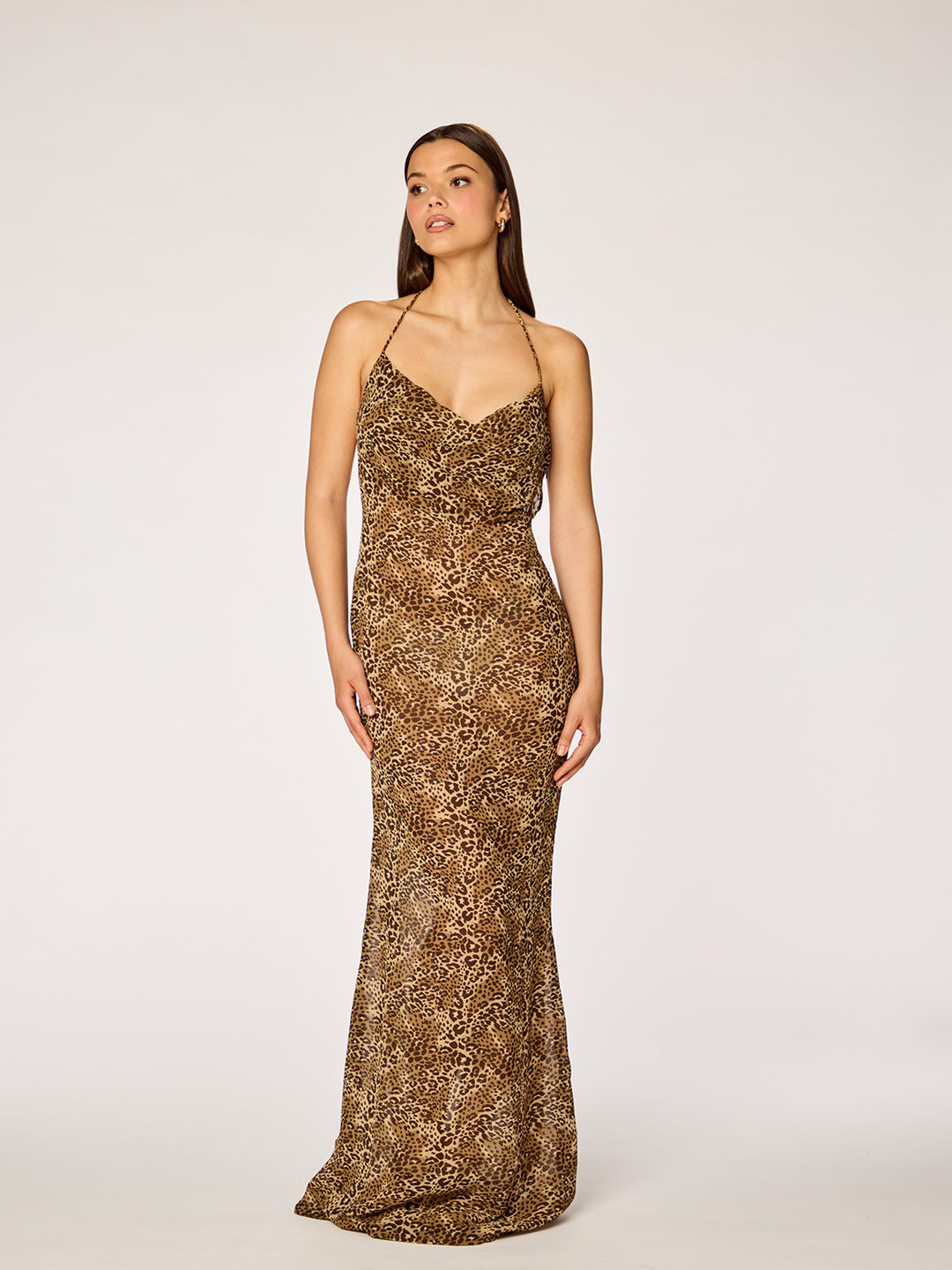 NAYA - Sheer Low Back Maxi Dress • Leo