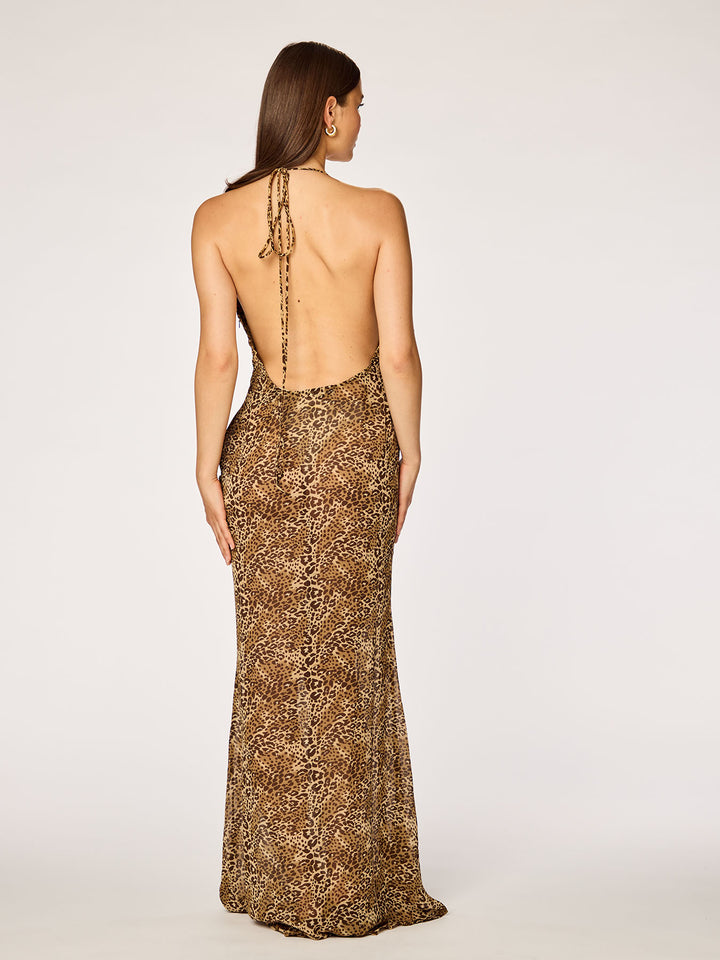 NAYA - Sheer Low Back Maxi Dress • Leo